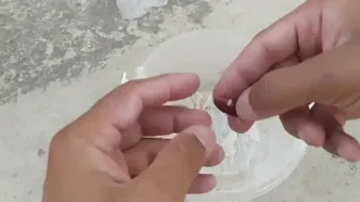 نحوه کاشت درخت خرما در گلدان