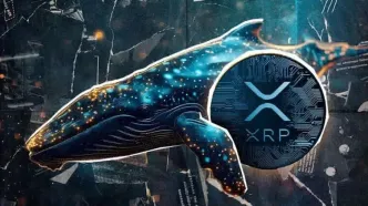 ریپل در آستانه بازگشت به اوج؛ نهنگ‌ها ۲۰۰ میلیون XRP را انباشت کردند!