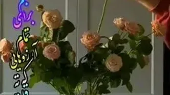 فال و طالع بینی روزانه 2 خرداد