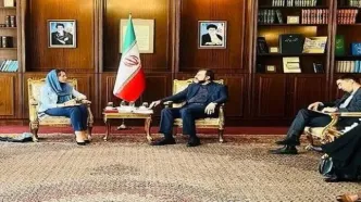 دیدار غریب‌آبادی با گزارشگر ویژه سازمان ملل