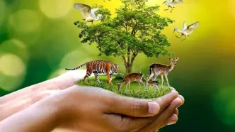 تجهیز محیط بانان تهران در دستور کار