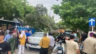 خسارت تندباد ۸۰ کیلومتری در بجنورد+تصاویر