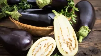 تشخیص بادمجان تلخ از شیرین
