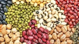 چرا قیمت لوبیا چیتی سر به فلک کشید؟
