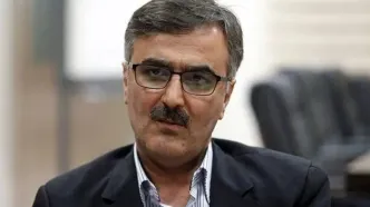 در حال تنظیم اساسنامه بانک‌های توسعه‌ای هستیم؛ لزوم تغییر اساسنامه صندوق توسعه ملی