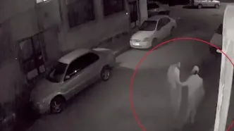 راز قتل از پاتوق سیاه مواد مخدر فاش شد