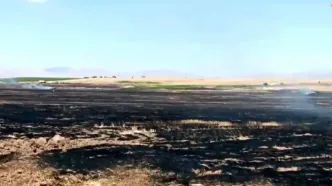 آذرخش سبب آتش سوزی در زمین های کشاورزی شد