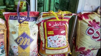 واردات این برنج پرطرفدار به ایران ممنوع شد
