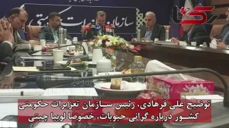 توضیح سازمان تعزیرات حکومتی کشور درباره گرانی حبوبات، خصوصا لوبیا چیتی