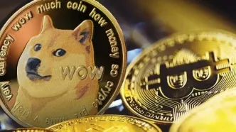 دوج‌کوین در مسیر شکستن رکوردها؛ رشد ۱۵ درصدی نسبت به بیت‌کوین!