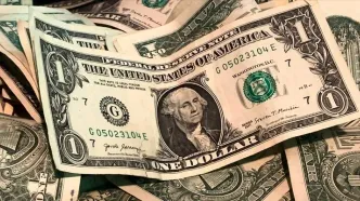 آخرین قیمت دلار امروز یکشنبه ۱۴ اردیبهشت ماه ۱۴۰۴ / صعود دلار
