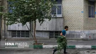 استمرار وزش باد شدید در تهران