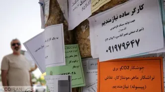 نرخ بیکاری زنان جوان به مرز ۳۵ درصد رسید / زنگ خطر در بازار کار جوانان+ نمودار