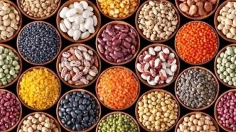 قیمت حبوبات غیر شرکتی در میادین میوه و تره بار تهران اعلام شد