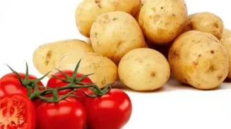 سیب‌زمینی و گوجه‌فرنگی ارزان شد