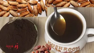 قهوه هسته خرما؛ جایگزین طبیعی و بدون کافئین برای اسپرسو