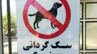 پلمب مهد سگ‌ در تبریز