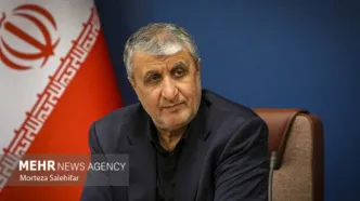 اسلامی: گزارش آژانس اتمی سیاسی است