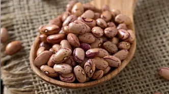 این خوراکی‌ها رکورد گرانی را زدند
