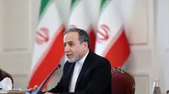 پیام سیدعباس عراقچی در روز ملی فرش ایرانی