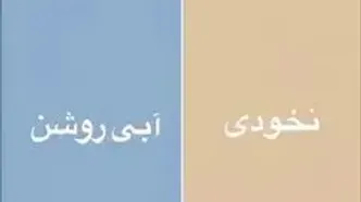 رنگ‌هایی که خانه را گران‌قیمت نشان می‌دهند/ ۵ رنگی که باید در دکوراسیون داخلی استفاده کنید!
