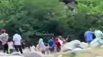 مرگ تلخ پدر جوان برای نجات فرزندانش در جاده چالوس / در رودخانه چالوس غرق شد