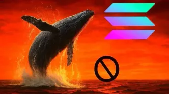 سولانا در بدترین موقعیت ماهانه؛ سایه تهدید نهنگ‌‌ها بالای سر SOL!
