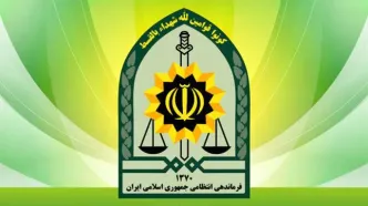 ۱۴ پهپاد و بیش از ۳۰ ریزپرنده اسرائیل منهدم شد