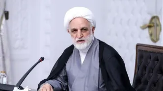 خائنان به وطن، خیلی سریع مجازات می‌شوند