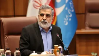 کمالوندی: بسته به موضع شورای حکام عکس العمل متناسب خواهیم داشت