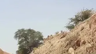 تلاش فعالان محیط زیست برای آبرسانی به حیات وحش خوزستان