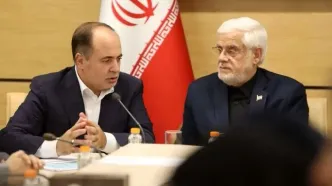 ۶۰ هزارتن برنج در کشور عرضه شد