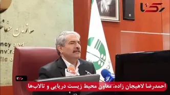 دریاچه ارومیه در مسیر خشکیدگی دوباره؛ افت ۴۵ سانتی‌متری در یک سال/ دریای خزر عقب‌نشینی می‌کند؛ ۲۰ سانتی‌متر کاهش در هر سال / هشدار درباره تالاب‌های شمالی؛ خلیج گرگان در آستانه نابودی کامل