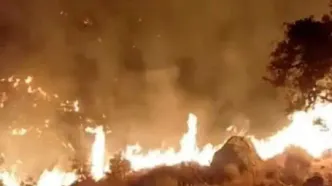 آتش‌سوزی ۱۴ساعته در مناطق صعب‌العبور استان کرمان