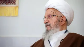آیت‌الله مکارم: تهدیدکننده رهبری و مرجعیت حکم محارب دارد