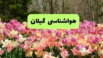خبر فوری هواشناسی گیلان ۲۴ ساعت آینده | پیش بینی وضعیت آب و هوا گیلان فردا شنبه ۱۷ خرداد ماه ۱۴۰۴