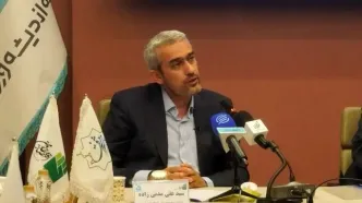 کمیسیون اقتصادی مجلس با مدنی‌زاده همراه شد