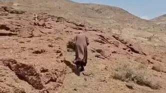 ببینید؛ دوستی شگفت‌انگیز آذرخانم با حیات وحش