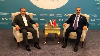 دیدار عراقچی و فیدان