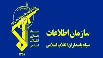 انهدام شبکه سازمان‌یافته فساد در حوزه خرید تضمینی گندم