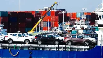 آغاز ترخیص ۳ هزار خودروی خارجی معطل مانده در بندر شهید رجایی