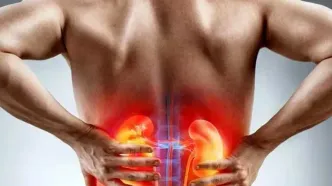 درمان سنگ کلیه با استفاده از طب سنتی؛ کدام داروهای گیاهی موثرند؟