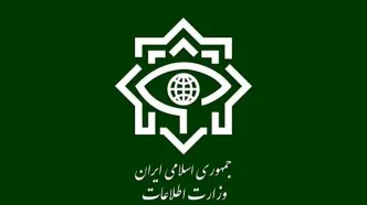 اطلاعیه وزارت اطلاعات در مورد عملیات انتقال اسناد رژیم صهیونیستی/ اسناد به‌دست‌آمده دارای ارزش‌های راهبردی،کاربردی، تحقیقاتی وعلمی است