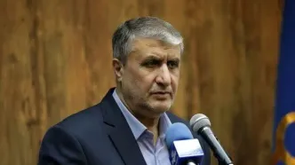 محمد اسلامی: صنعت هسته‌ای با بمباران از بین نمی‌رود