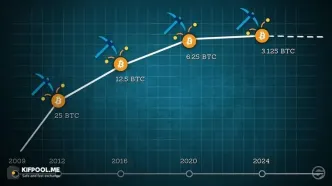 الگوی تکرارشونده بیت‌کوین پس از هاوینگ‌ها؛ آیا دوباره تاریخ تکرار می‌شود؟