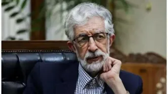 حداد عادل:تجربه برجام باید چراغ راه آینده باشد