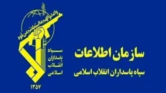 شبکه سازمان‌یافته فساد در حوزه خرید تضمینی گندم متلاشی شد