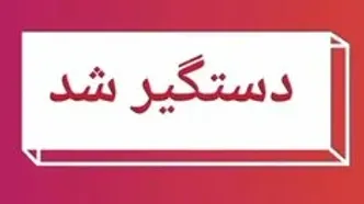 دستگیری عاملان حمایت از اسرائیل و تحریک به اغتشاش