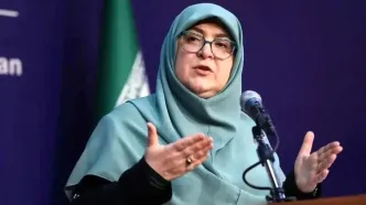سخنگوی دولت: دورکاری کارکنان امروز و فردا ادامه دارد/ ویدئو