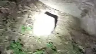 نجات بره مرال از آتش پارک ملی گلستان
